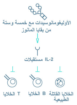 Immunodeficiency in Alpha-Mannosidosis